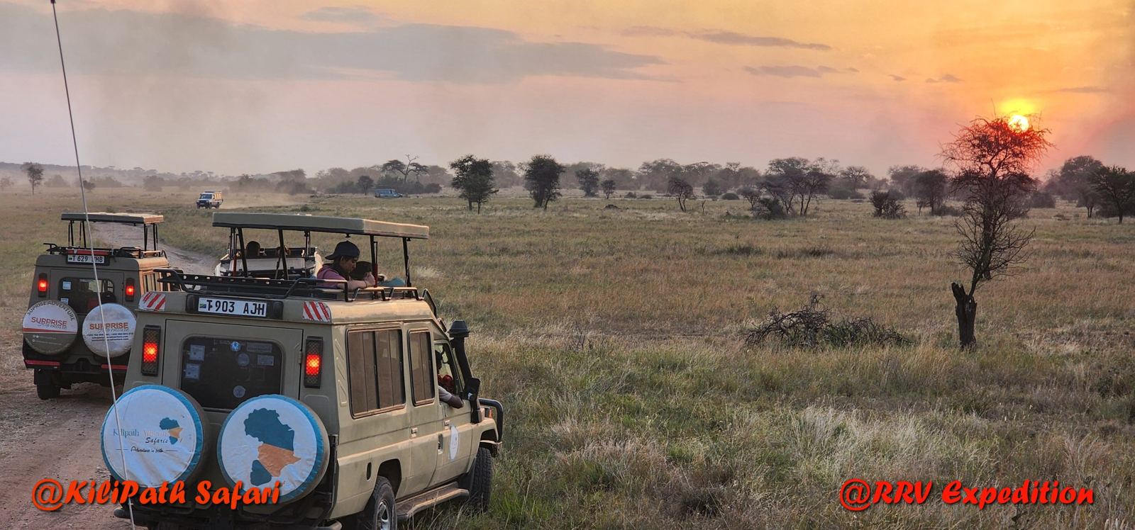 4 Days Tour Through Tanzania's Wild Adventures