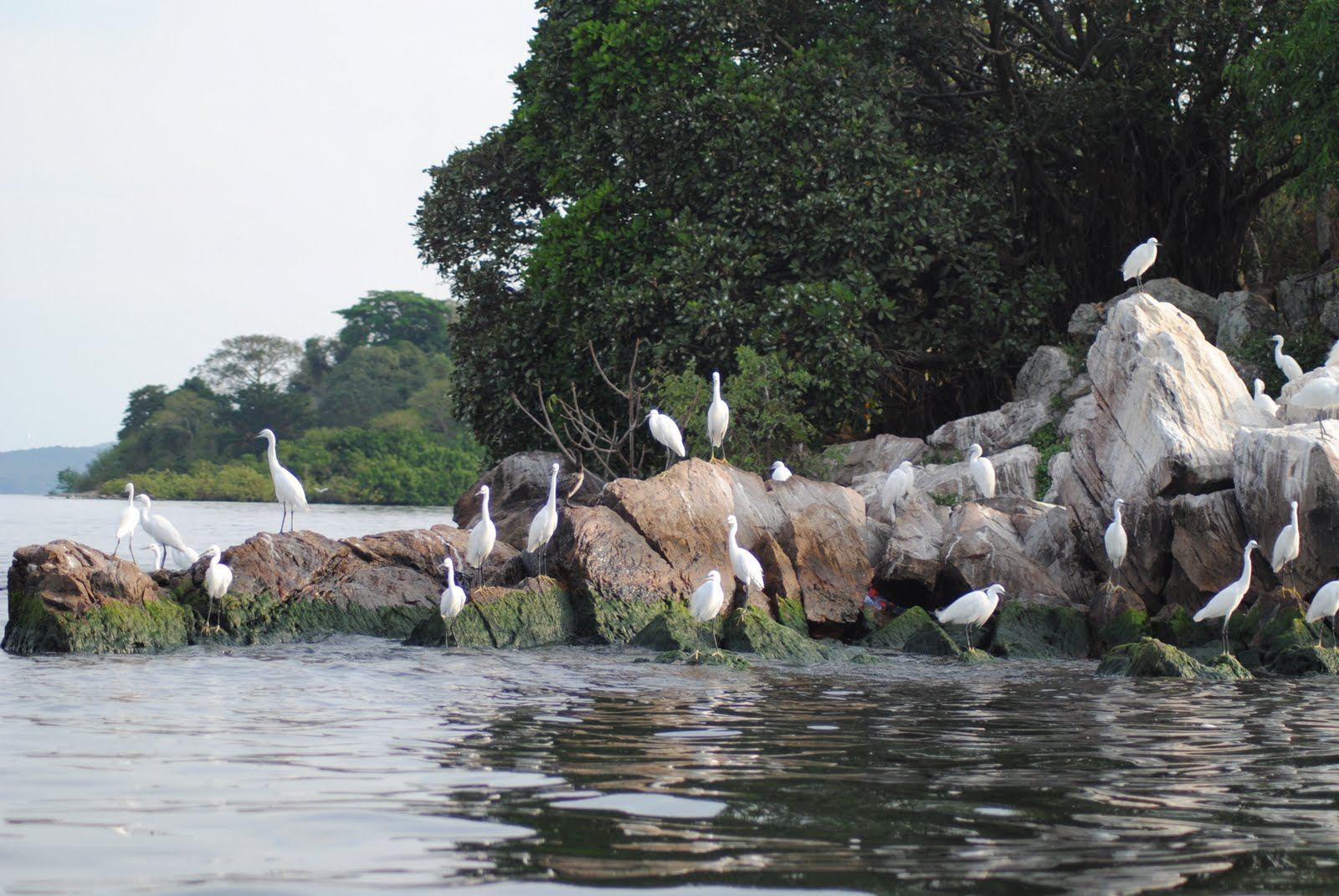 Western Circuit Safari Destinations