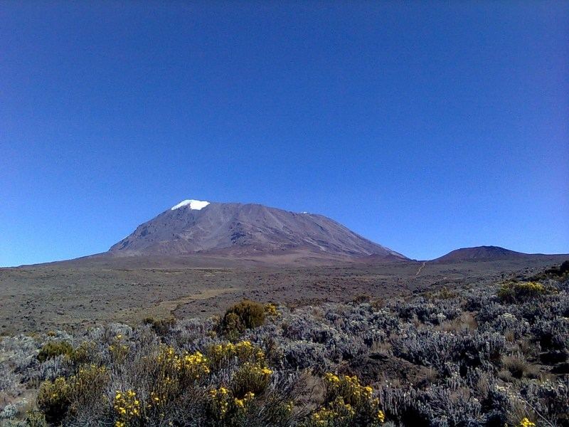 7 Days 6 Nights Climb Kilimanjaro Rongai Route