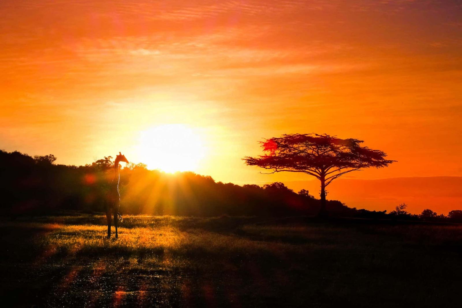 What Style of Tanzania Safari is for You?