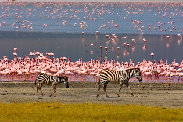 Lake Manyara National Park