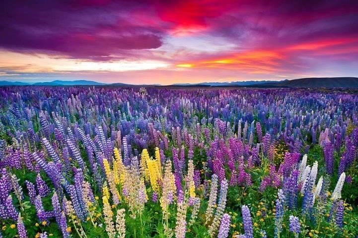 Southern Circuit Safari Destinations