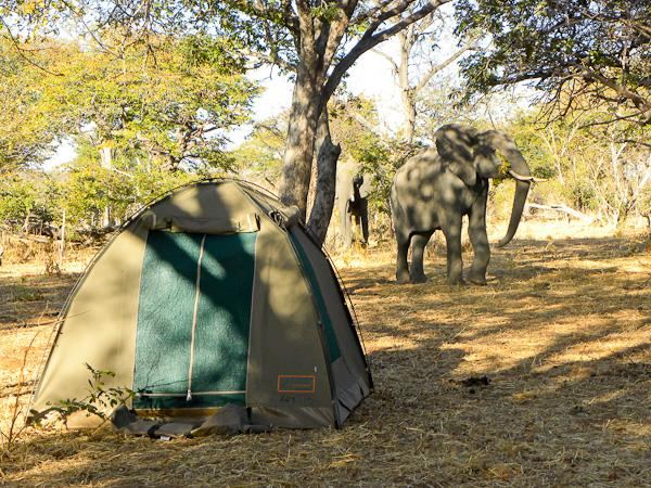 Mobile Camping Safaris in Africa