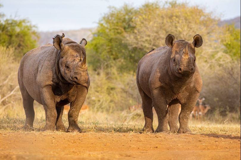 Northern Circuit Safari Destinations
