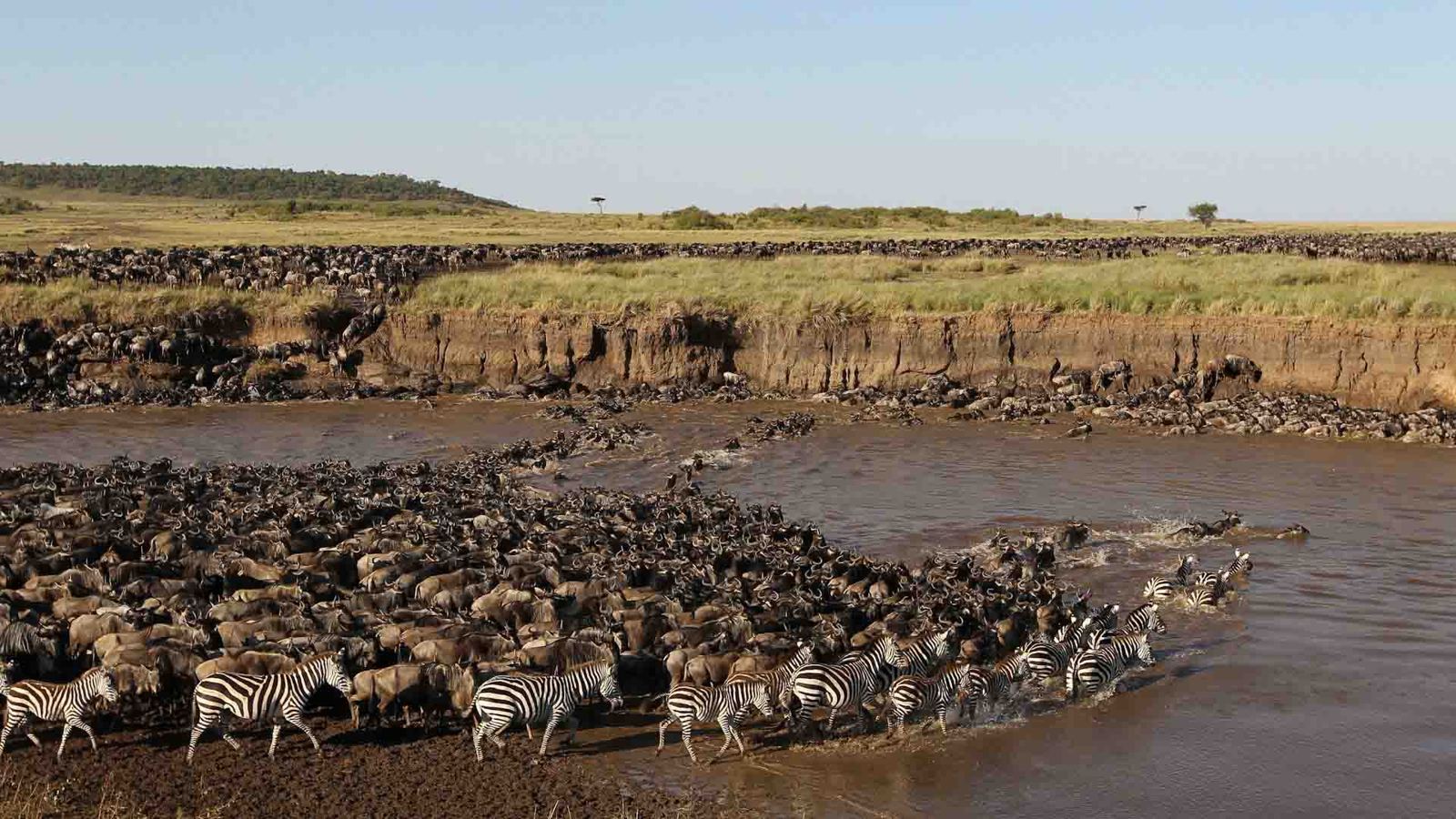 Tanzania Wildebeest Migration Safari