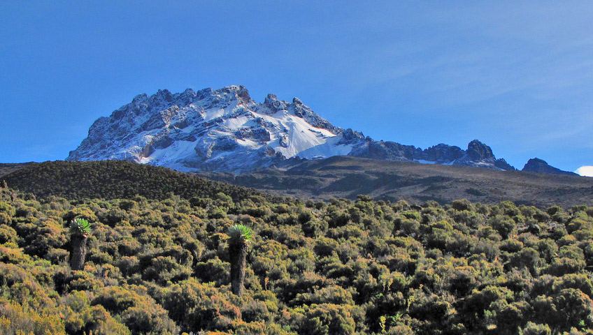 7 Days 6 Nights Climb Kilimanjaro Rongai Route