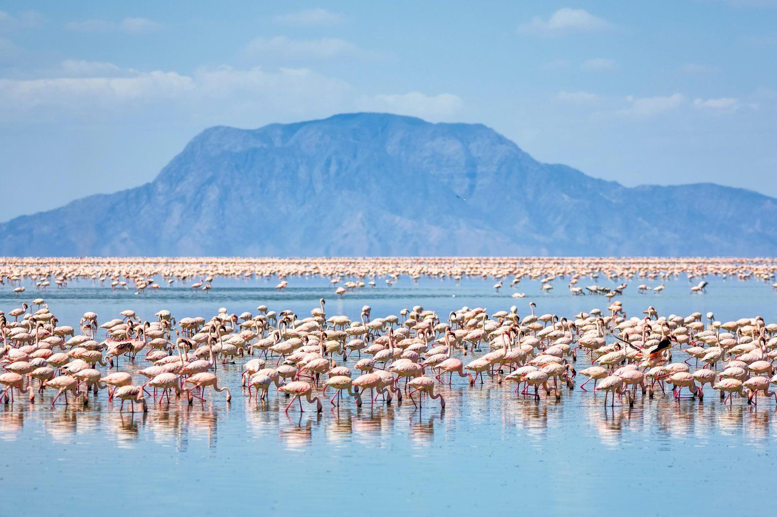 Lake Natron & Mount OlDoinyo Lengai