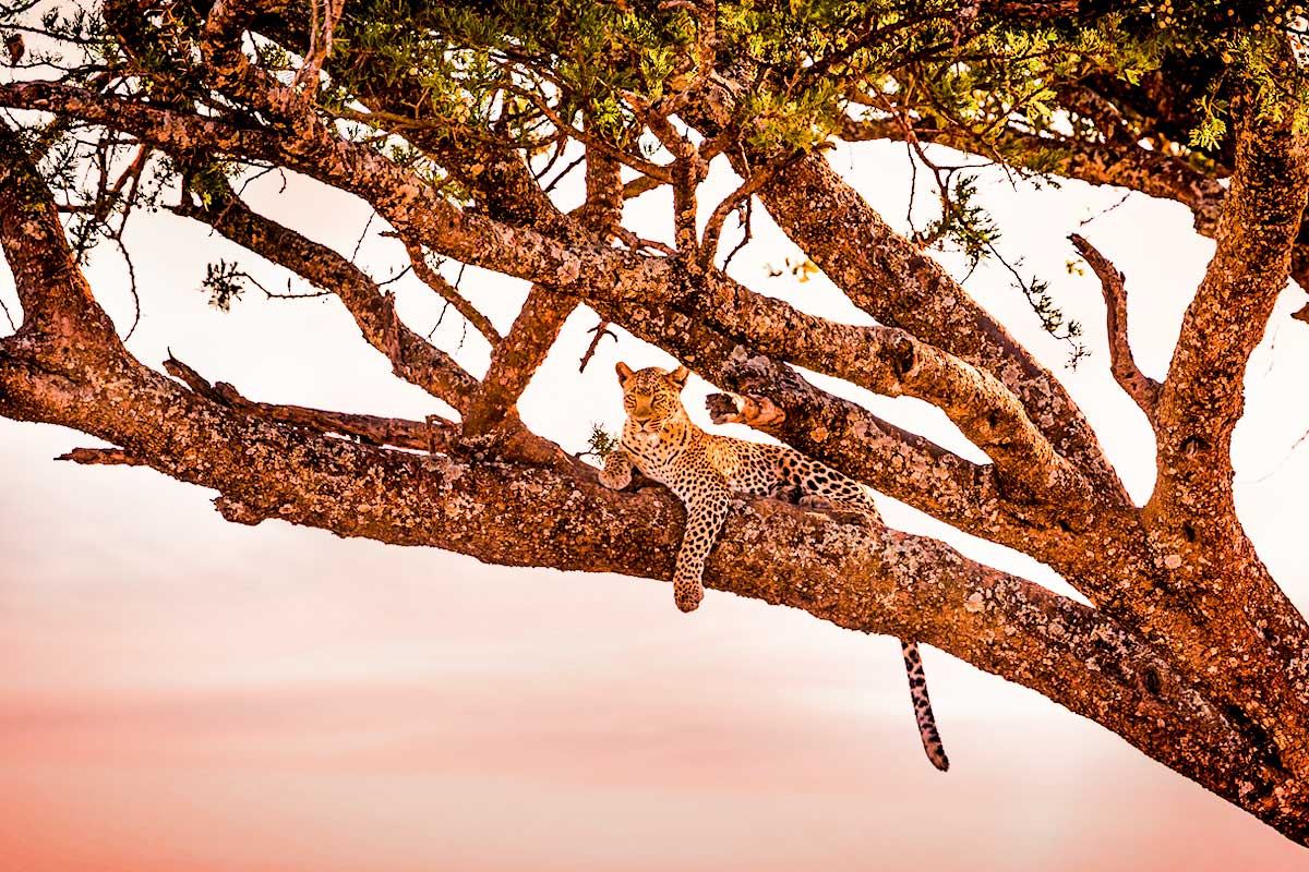 Serengeti National Park