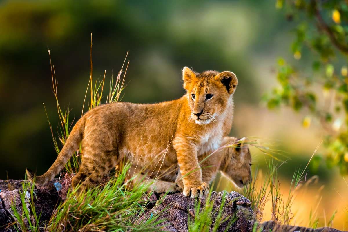 Serengeti National Park