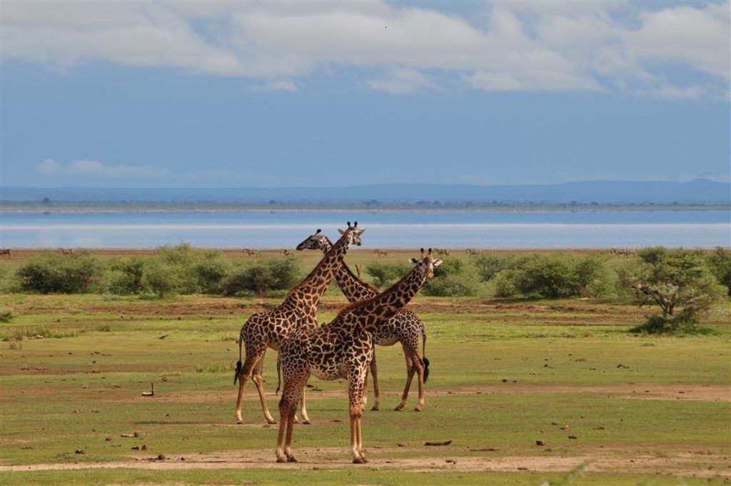 Lake Manyara National Park