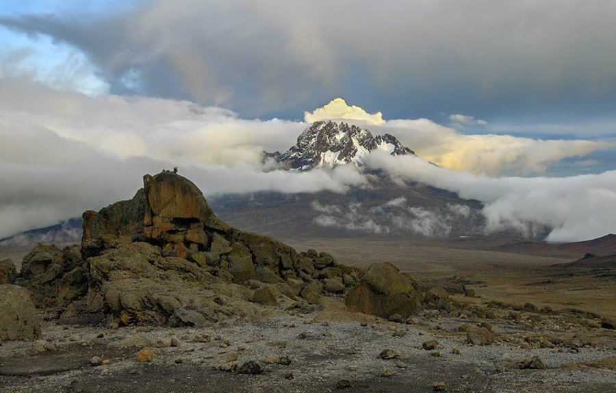The Northern Circuit route on Kilimanjaro