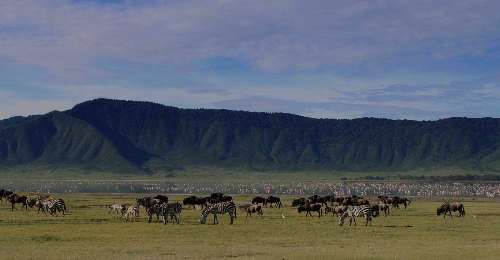An animal paradise inside a volcano
