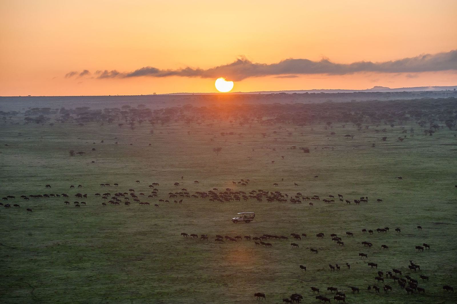 3. A Safari for Every Traveller