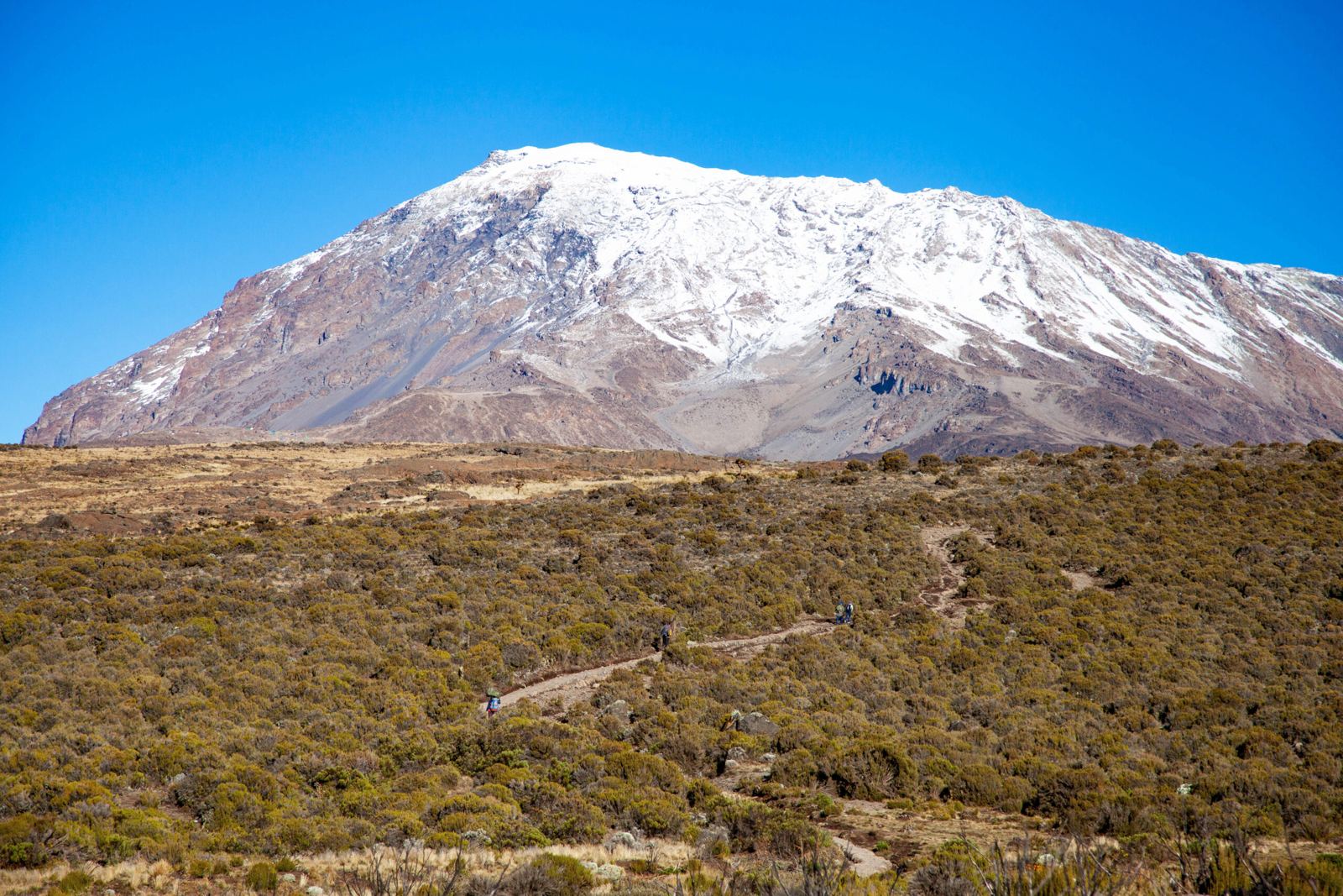 8 Days 7 Nights Climb Kilimanjaro Marangu Route