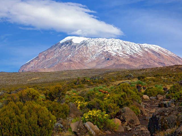 7 Days 6 Nights Climb Kilimanjaro Rongai Route