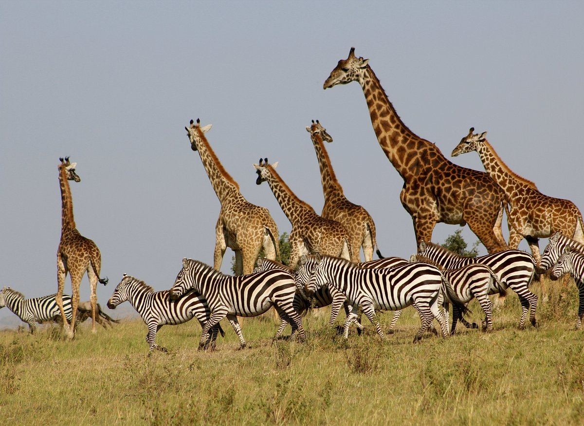 Southern Circuit Safari Destinations